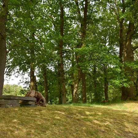 Heidepark Veluwschkarakter Kompleks wypoczynkowy *