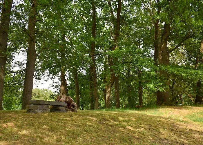 Heidepark Veluwschkarakter 假日公园 *